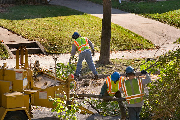 Best Seasonal Cleanup  in Roslyn Heights, NY